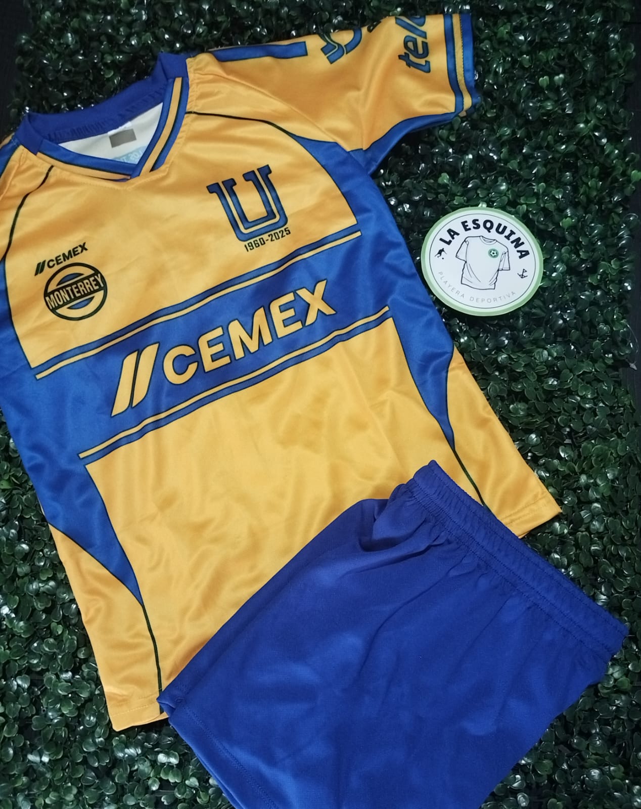 Playera de los tigres